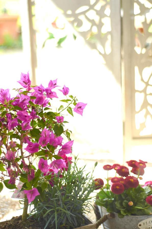 Schoenes Appartement In Meerbusch Am Buschend Ngoại thất bức ảnh